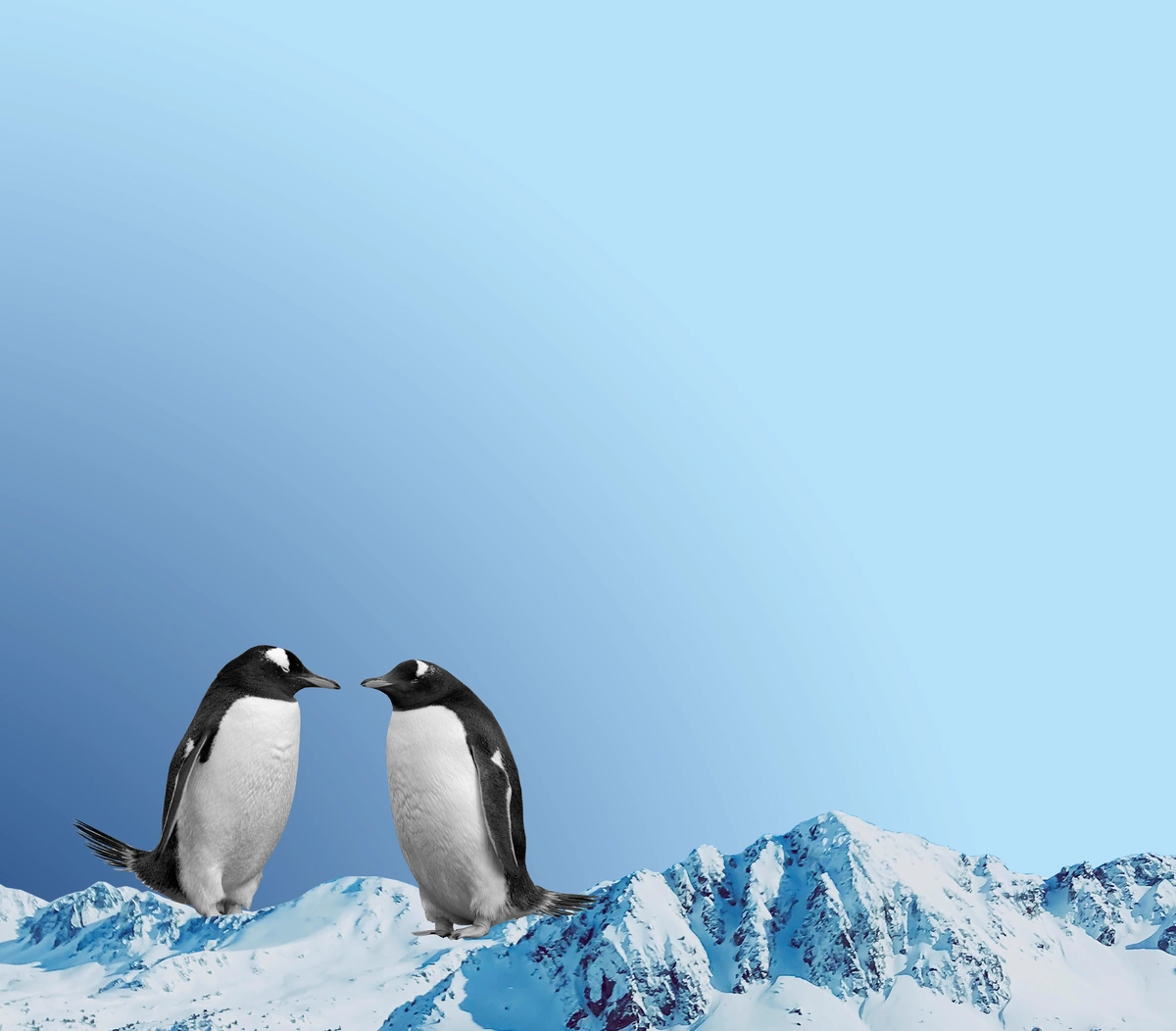 Zwei Pinguine in einer Eislandschaft