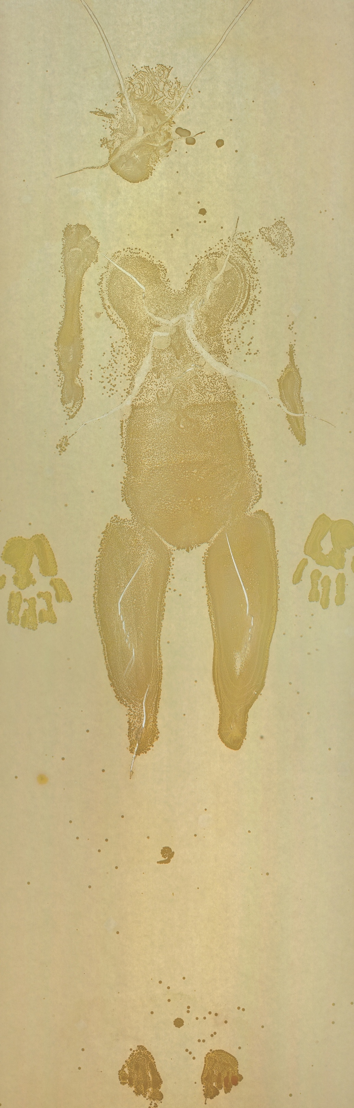 Abb.1, Sonja Bäumel, Expanded Self, Mirkoorganismen auf Agar, 210 x 80 cm, courtesy the Artist