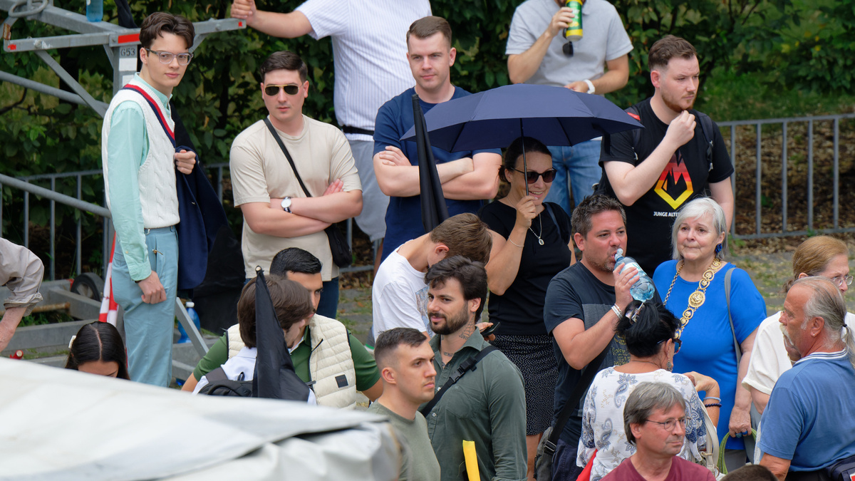 Mitglieder der hessischen AfD-Jugend auf einer Demonstration der "Identitären Bewegung" in Wien