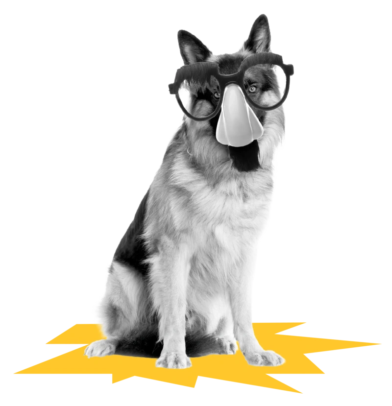 Ein Hund mit einem Brillen-, Nasen- und Schnurrbartemoji